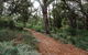 Highlights Of Kings Park - thumb 5