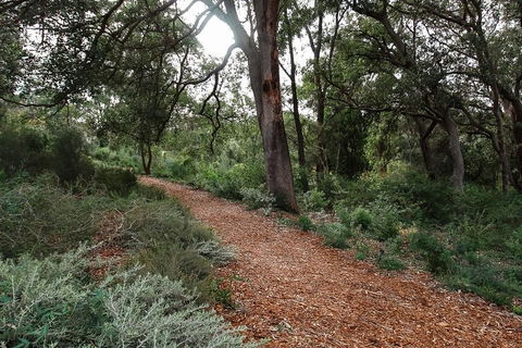 Highlights Of Kings Park - Find Attractions 5