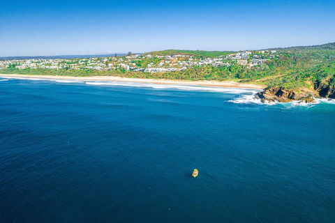 2-Hour Guided Whale Watching Tour At Noosa - Find Attractions 4