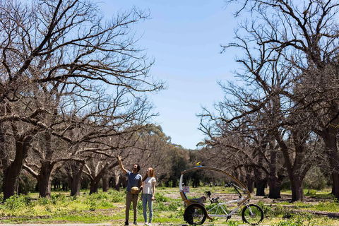 Adelaide 90-Minute Pedicab Tour: Scenic Green & River Experience - Find Attractions 1
