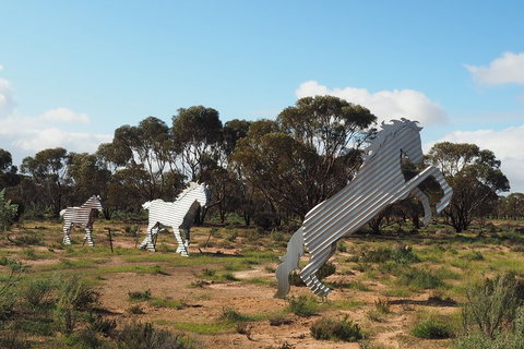 Wave Rock, Wild Flowers And Astro Photography - Find Attractions 5