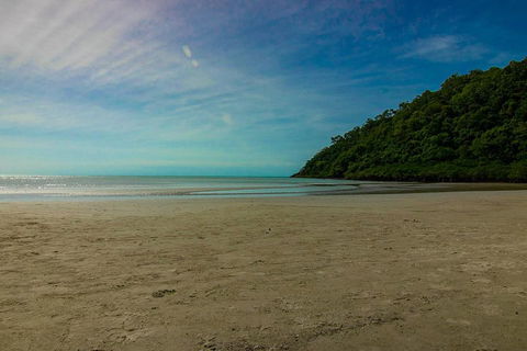 Cape Tribulation Day Tour - Find Attractions 2