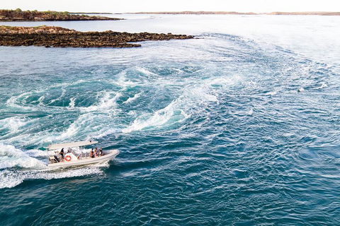 Giant Tides Tour - Cygnet Bay Pearl Farm - Find Attractions 4