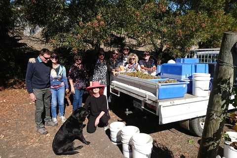 Valleys Of Vino Tour - Find Attractions 1