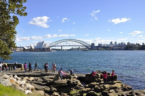 Sydney Sightseeing Bus Tours - Find Attractions 2