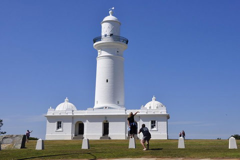 Sydney Sightseeing Bus Tours - Find Attractions 5