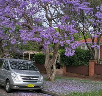 Sydney Secrets  Bondi Beach Private 4 Hr Morning with Personalised Sydney Tours - Find Attractions