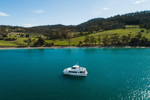 Deep-to-Dish: Tasmanian Seafood Experience - Find Attractions 0