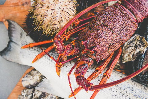 Deep-to-Dish: Tasmanian Seafood Experience - Find Attractions 2
