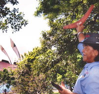 illi-Langi The Rocks Aboriginal Dreaming Tour - Find Attractions