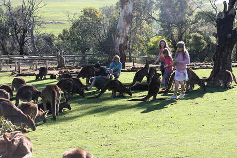 The Port Arthur MEGA Day Trip From Hobart - Find Attractions 5
