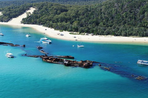 All Inclusive Dolphin And Tangalooma Wrecks Cruise - Find Attractions 4