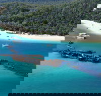All Inclusive Tangalooma Wrecks Cruise Tour From Gold Coast - Find Attractions