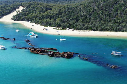 All Inclusive Tangalooma Wrecks Cruise Tour From Gold Coast - Find Attractions 0