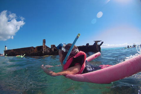 All Inclusive Tangalooma Wrecks Cruise Tour From Gold Coast - Find Attractions 3