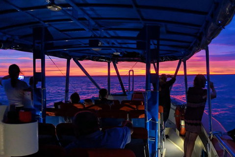 Darwin Sunset Cruise Including Fish 'n' Chips - Find Attractions 1