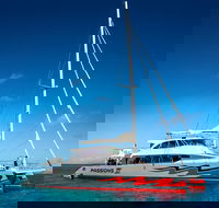 Passions of Paradise Great Barrier Reef Snorkel and Dive Cruise from Cairns by Luxury Catamaran - Find Attractions