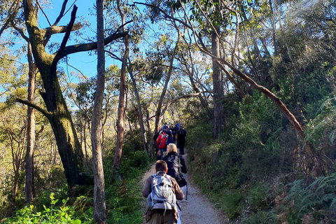 Self-Guided Waterfall Gully To Mount Lofty Hike From Adelaide - Find Attractions 1
