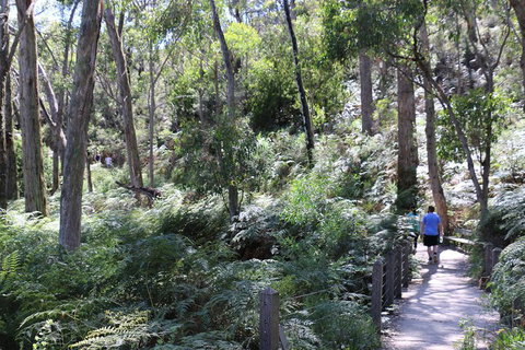 Self-Guided Waterfall Gully To Mount Lofty Hike From Adelaide - Find Attractions 2