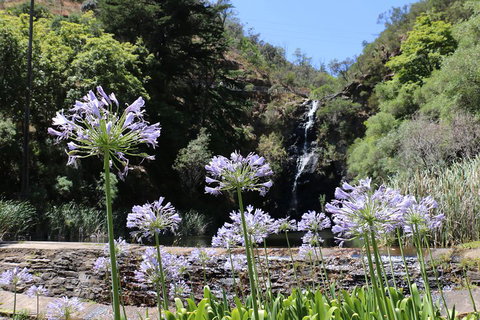 Self-Guided Waterfall Gully To Mount Lofty Hike From Adelaide - Find Attractions 3