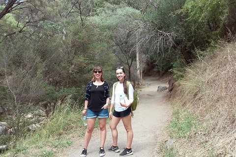 Self-Guided Waterfall Gully To Mount Lofty Hike From Adelaide - Find Attractions 4