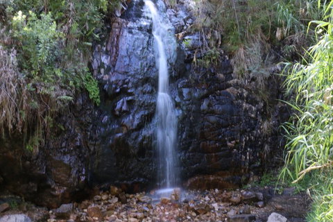 Self-Guided Waterfall Gully To Mount Lofty Hike From Adelaide - Find Attractions 5