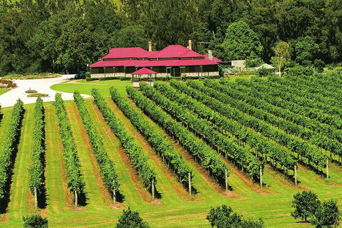 O'Reilly's & Lamington National Park From Brisbane - Find Attractions 2