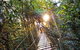 O'Reilly's & Lamington National Park From Brisbane - thumb 5