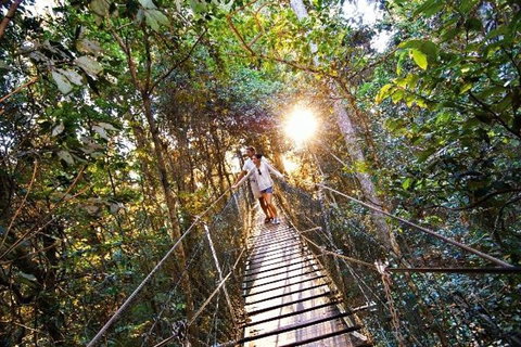 O'Reilly's & Lamington National Park From Brisbane - Find Attractions 5