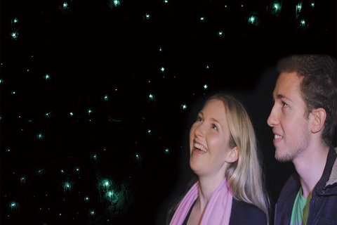 Natural Bridge Glow Worm Night Tour From Gold Coast - Find Attractions 3