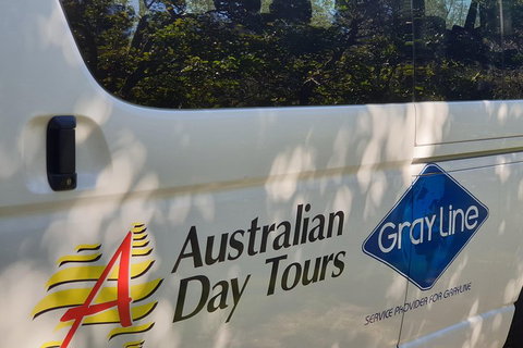 Natural Bridge Glow Worm Night Tour From Gold Coast - Find Attractions 5