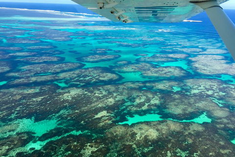 Shipwreck Special Full Day Tour Of The Abrolhos Islands - Find Attractions 1