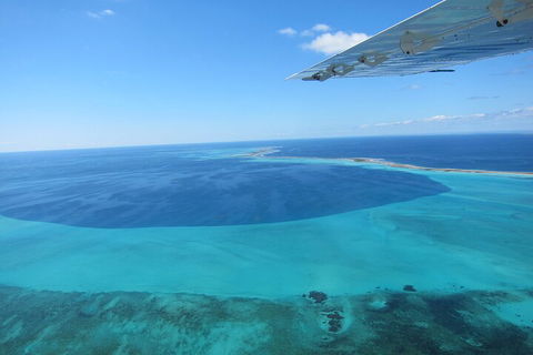 Shipwreck Special Full Day Tour Of The Abrolhos Islands - Find Attractions 2