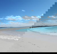 Shipwreck Special Nature Tour/Half Day Tour - Find Attractions