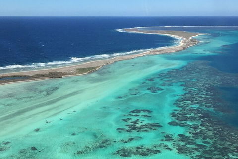 Pink Lake + Abrolhos Islands Nature Tour - Find Attractions 2