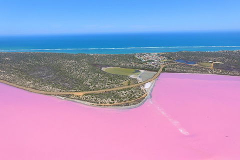 Pink Lake + Abrolhos Islands Nature Tour - Find Attractions 4