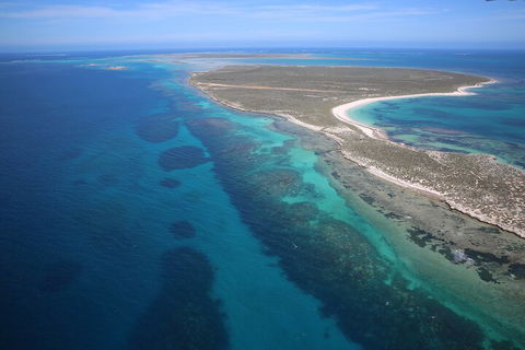 Pink Lake + Abrolhos Islands Scenic Flight - Find Attractions 0