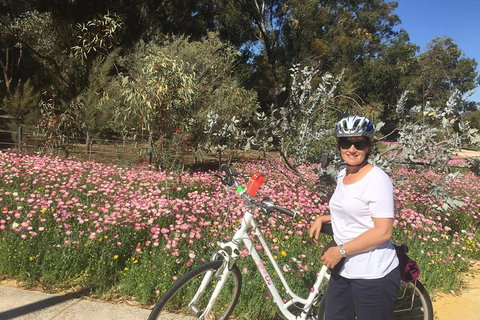 Perth Bike Tour - Beautiful Matilda Bay And Kings Park - Find Attractions 1