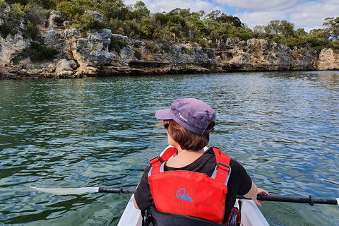 Cliffs And Caves Kayak Tour In Swan River - Find Attractions 0