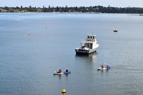 Cliffs And Caves Kayak Tour In Swan River - Find Attractions 2