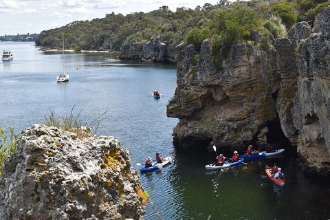Cliffs And Caves Kayak Tour In Swan River - Find Attractions 5