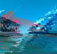 Best of Moreton Bay Cruise - Find Attractions