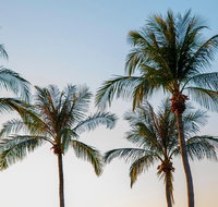 Darwin City Sightseeing Tour - Find Attractions