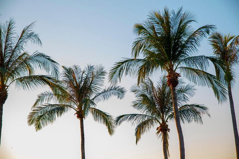 Darwin City Sightseeing Tour - Find Attractions 0