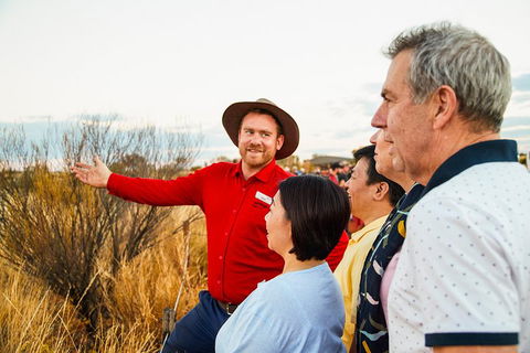 Uluru (Ayers Rock) Sunset With Outback Barbecue Dinner And Star Tour - Find Attractions 3