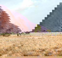 Uluru Sunrise and Guided Base Walk - Find Attractions