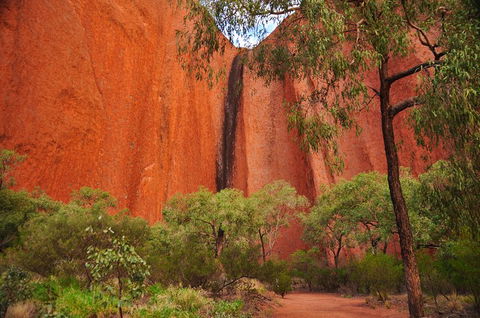 Uluru Sunrise And Guided Base Walk - Find Attractions 3