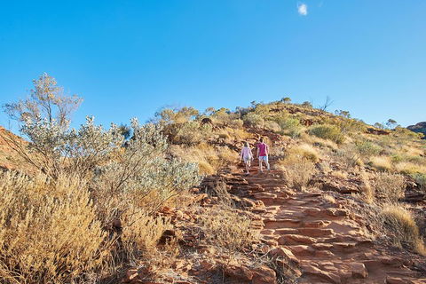 Kings Canyon Guided Rim Walk - Find Attractions 1