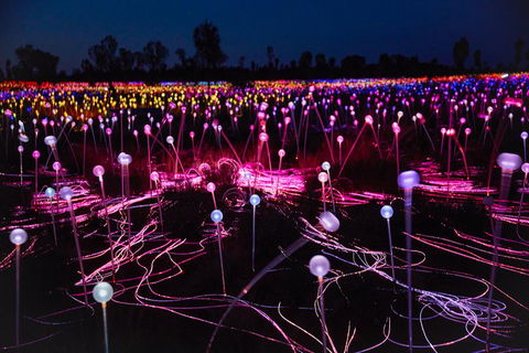 Uluru (Ayers Rock) Field Of Light Sunrise Tour - Find Attractions 1