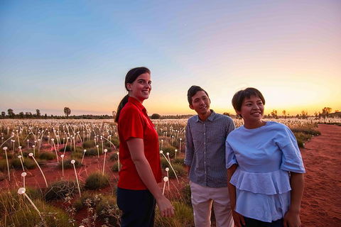 Uluru (Ayers Rock) Field Of Light Sunrise Tour - Find Attractions 2